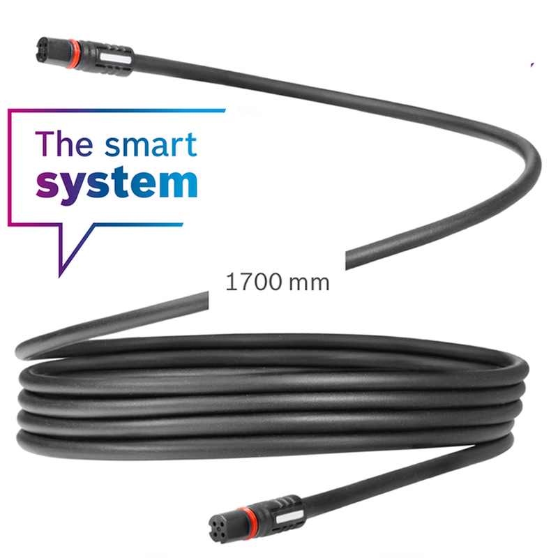 Display cable 1,700 mm (BCH3611_1700)