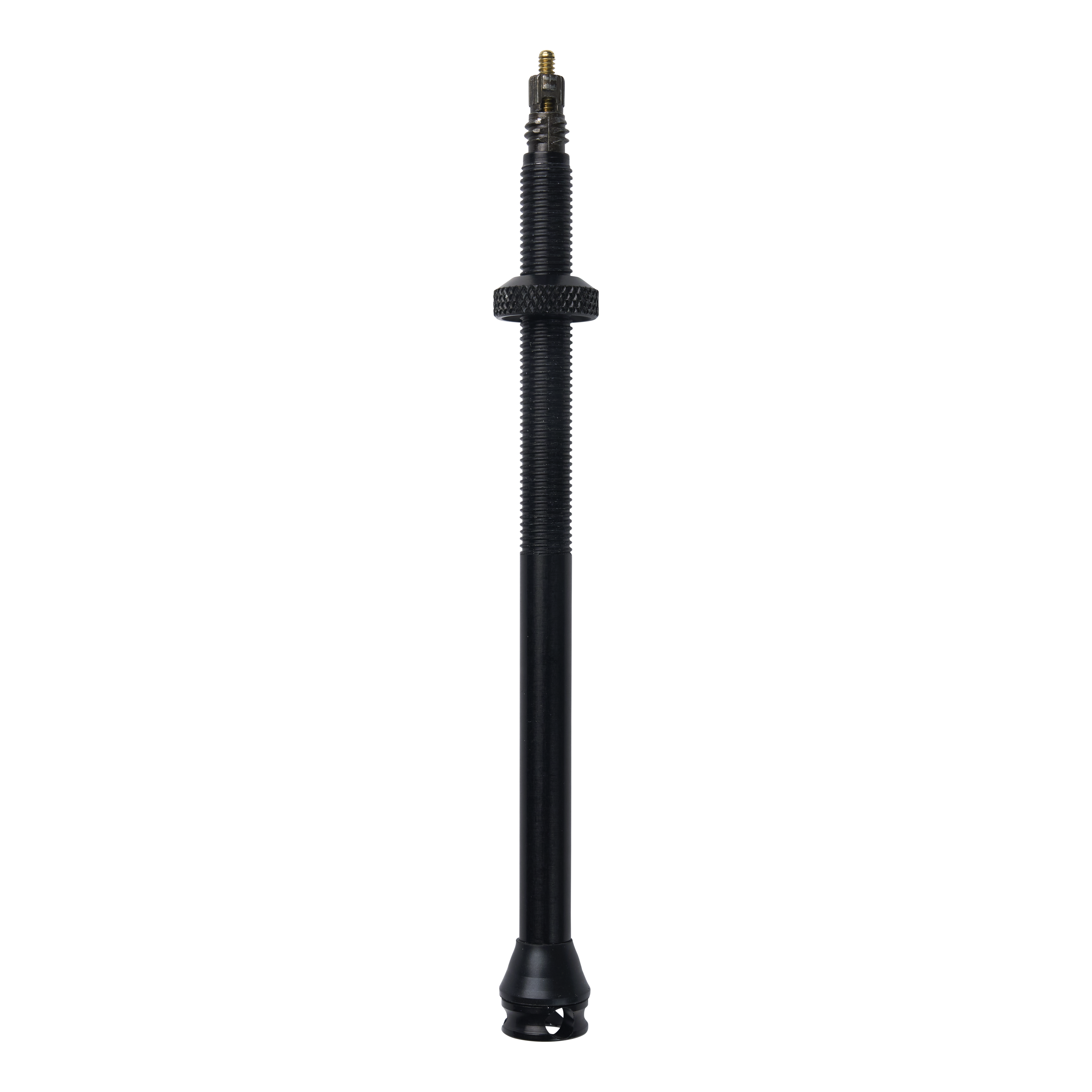 Schwalbe Tubeless Ventil 100 mm (2 ks)