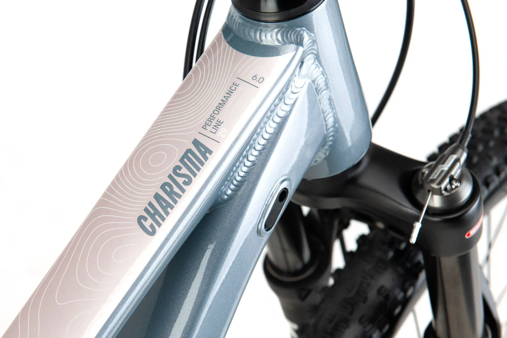 CTM CHARISMA 6.0 šedomodrá/růžová (155-175 cm)