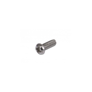 Locking Screw