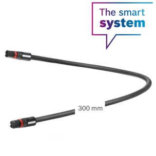 Display cable 300 mm (BCH3611_300)