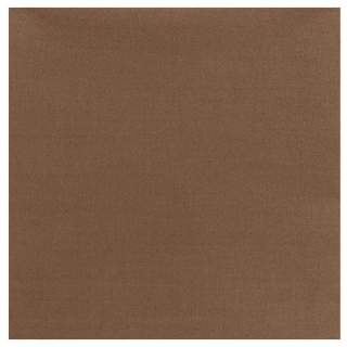 Šátek Solid Bandanas Coyote Brown Rothco