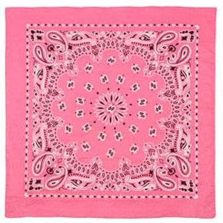 Šátek Trainmen Bandanas Růžový Rothco