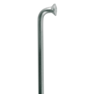 Špice DT Swiss Champion M 2x288 mm nerez