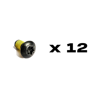 Magura Steel Fitting screws rotors, Torx T25 M5x10 (12 ks)