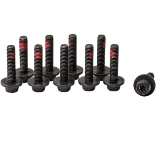 MAGURA Central fixing screw EASY MOUNT M6 (10 ks)