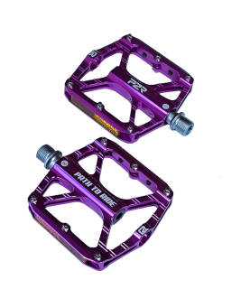 P2R CITYMAN 40 RTC, 3SB fialová