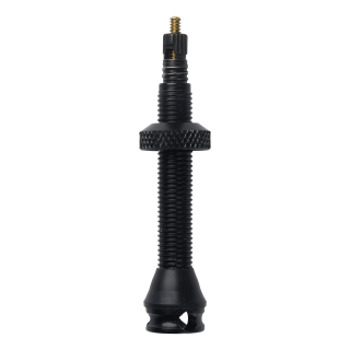 Schwalbe Tubeless Ventil 60 mm (2 ks)